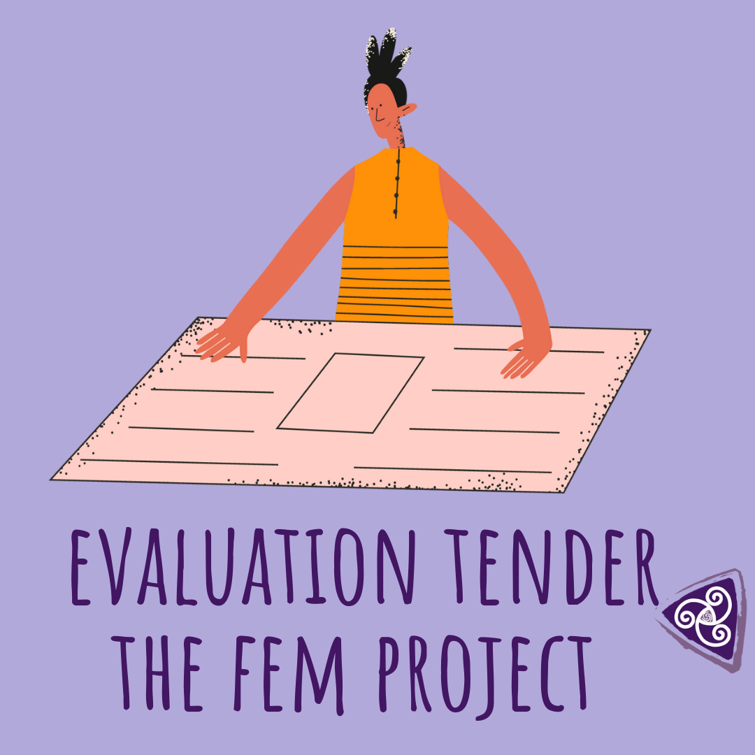 The Fem Project Evaluation Tender